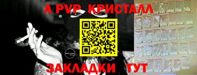 крисы Краснознаменск