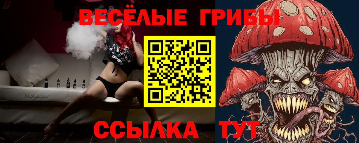 Галлюциногенные грибы Psilocybine cubensis  Вход с VPN  Курган 